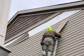 Best Residential Vinyl Siding Installation  in Elgin, IL